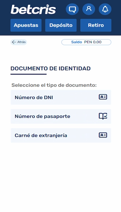 Página de seguridad Betcris