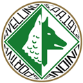 Avellino team logo 