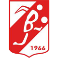 Balikesirspor team logo 