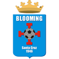 Blooming team logo 