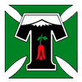 CD Temuco team logo 