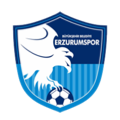 Erzurumspor FK team logo 