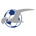 Haugesund team logo 