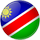 Namibia team logo 