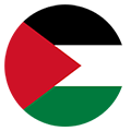 Palestine team logo 