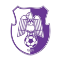 SCM Argesul Pitesti team logo 