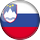 Slovenie team logo 
