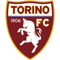 Turin team logo 