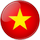 Vietnam team logo 