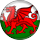 Pays De Galles team logo 