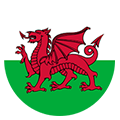 País De Gales team logo 