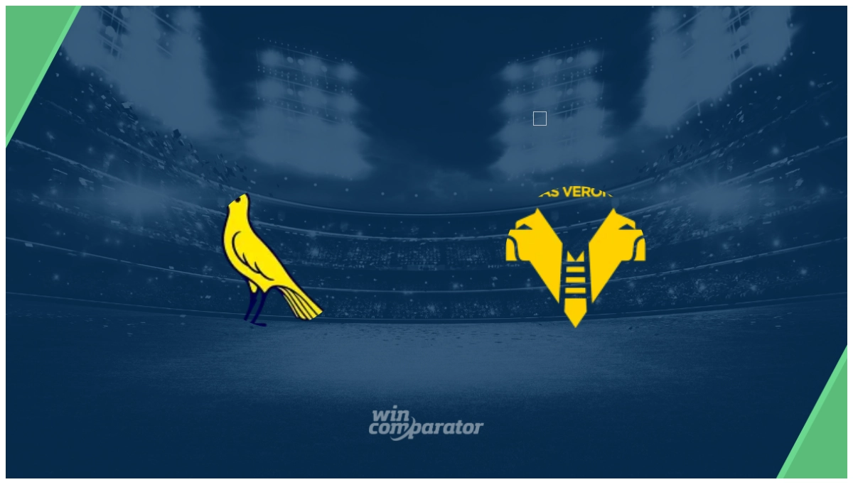 pronostico Modena Hellas Verona